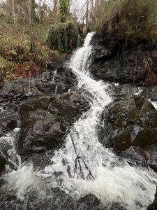 IMG_8512